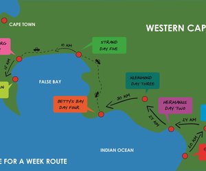 Waddle for a Week walking in support of the African penguin